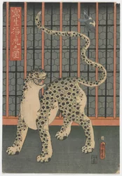 A Leopard Drawn from Life, Edo period, 1860